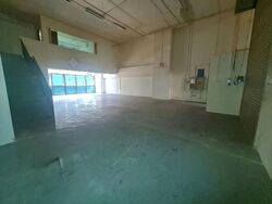 Win 5 (D27), Factory #615043781